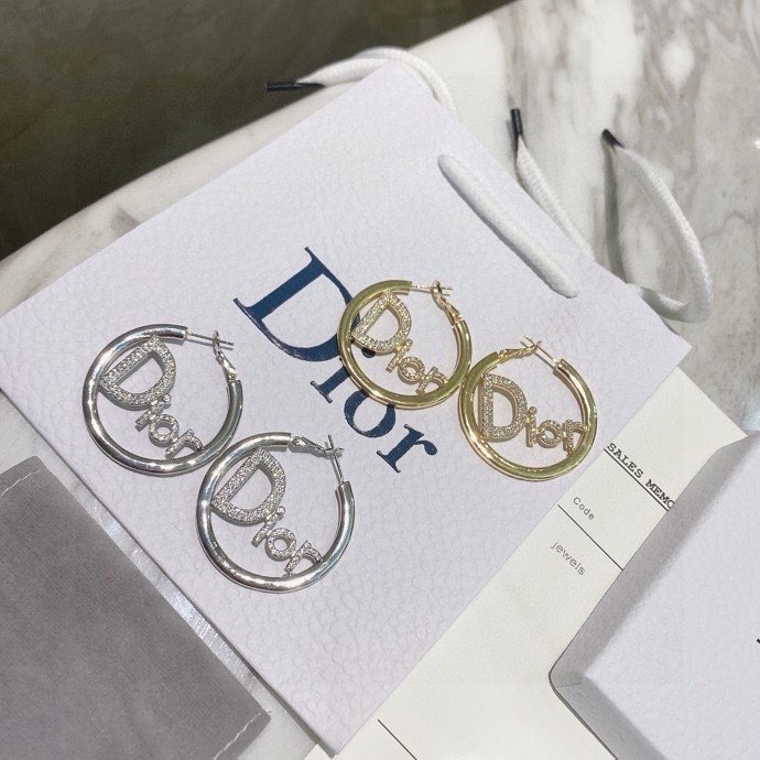 Dior Earring 01lyh268 (1)