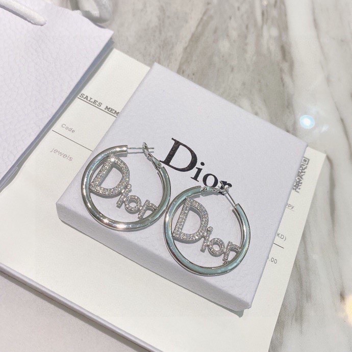 Dior Earring 01lyh268 (10)