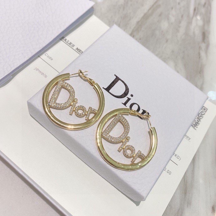 Dior Earring 01lyh268 (4)