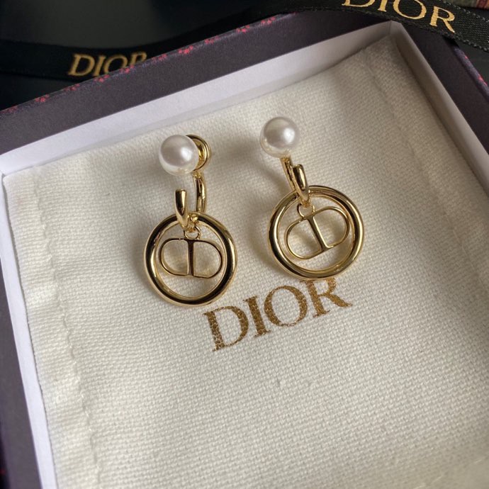 Dior Earring 01lyh269 (1)
