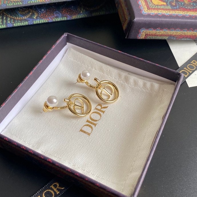 Dior Earring 01lyh269 (3)