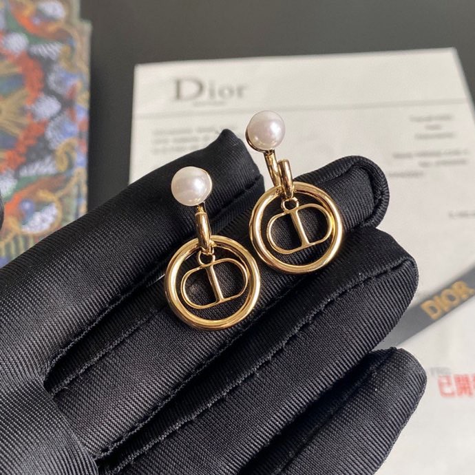 Dior Earring 01lyh269 (4)