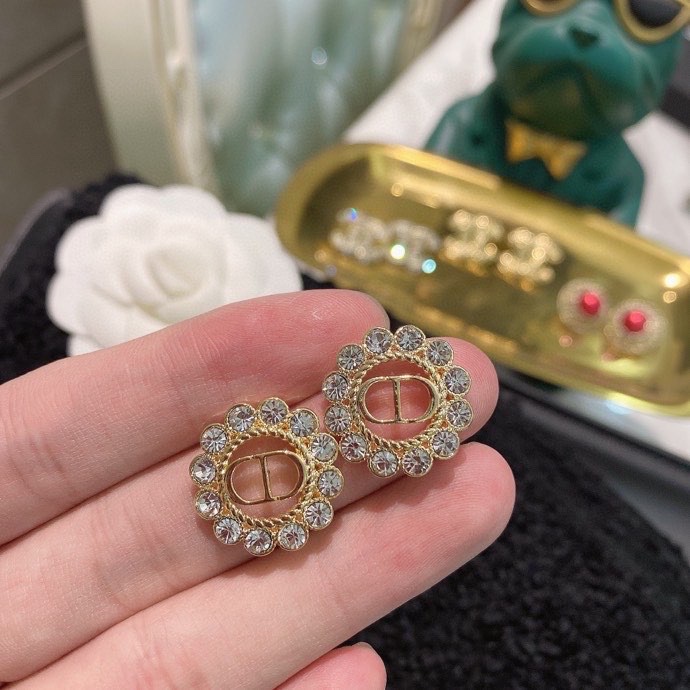 Dior Earring 01lyh270 (4)