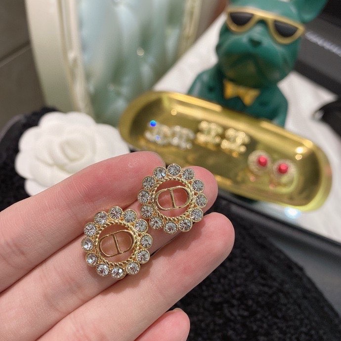 Dior Earring 01lyh270 (5)