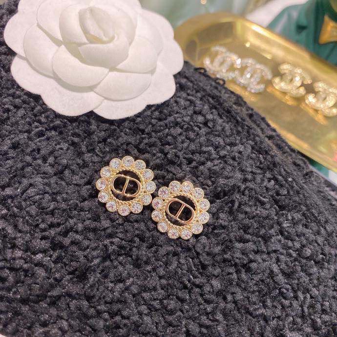 Dior Earring 01lyh270 (6)