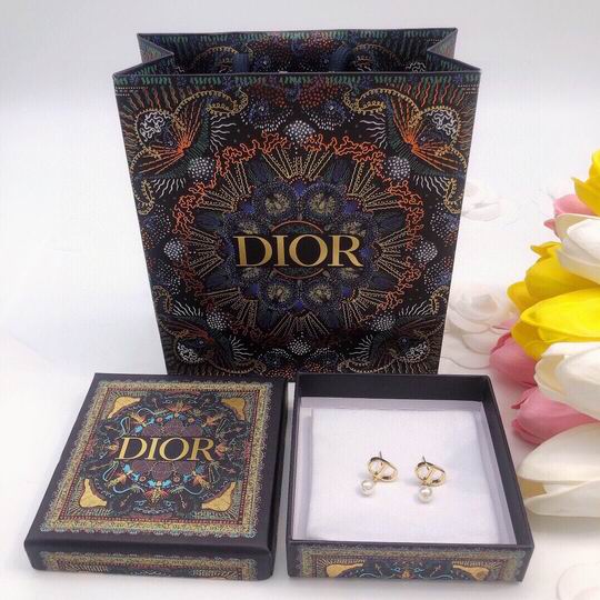 Dior Earring 12lyh108 (6)