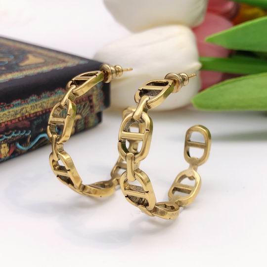 Dior Earring 12lyh112 (1)