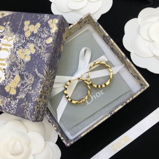 Dior Earring 12lyh116 (3)