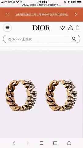Dior Earring 12lyh116 (5)
