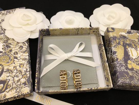 Dior Earring 12lyh116 (8)
