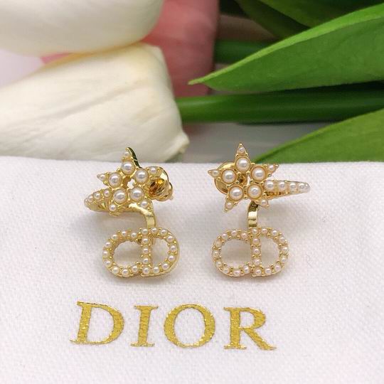 Dior Earring 12lyh141 (2)