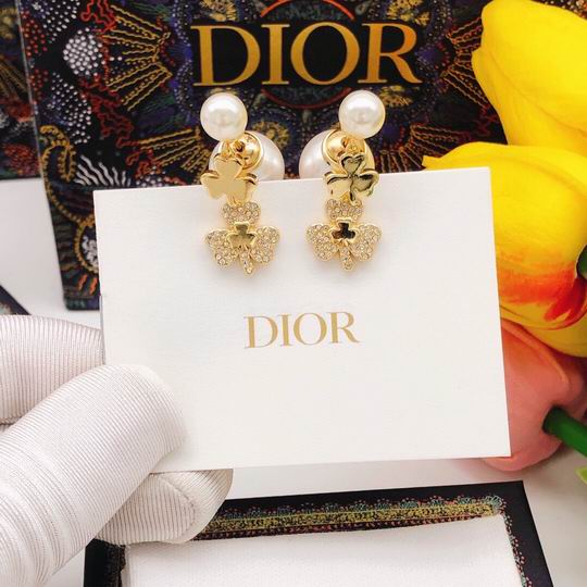 Dior Earring 12lyh148 (5)