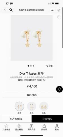 Dior Earring 12lyh152 (5)