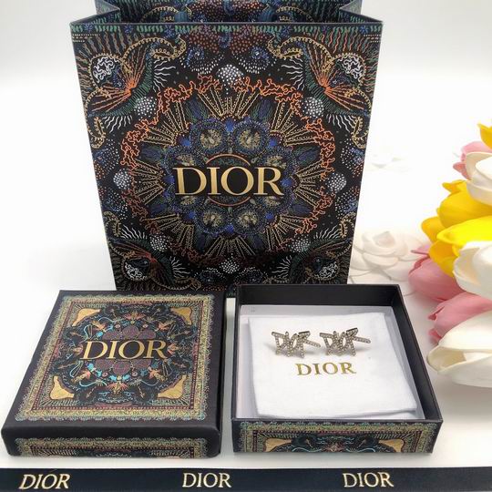 Dior Earring 12lyh161 (6)