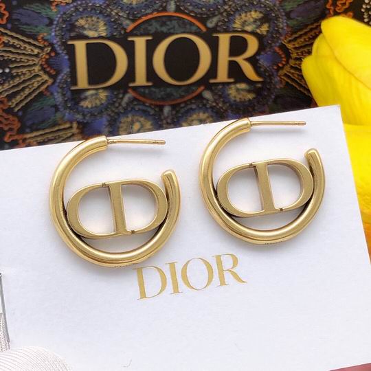 Dior Earring 12lyh165 (1)