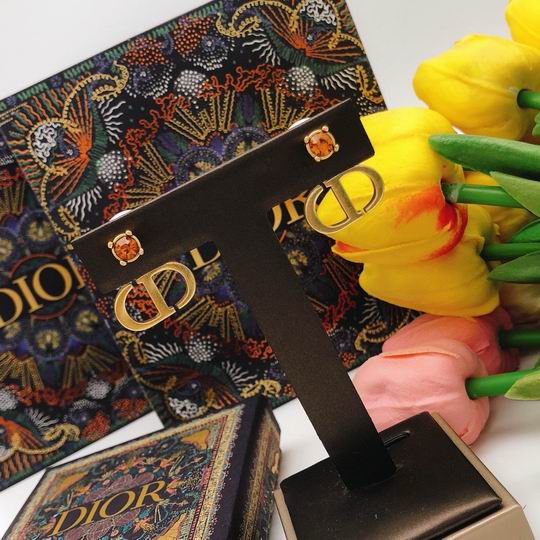 Dior Earring 12lyh175 (7)