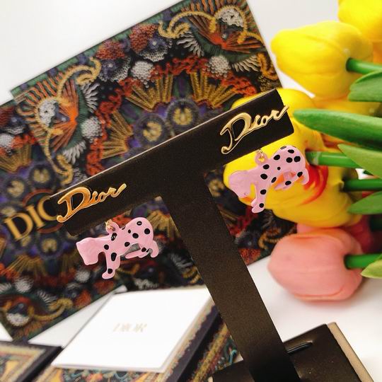 Dior Earring 12lyh176 (6)