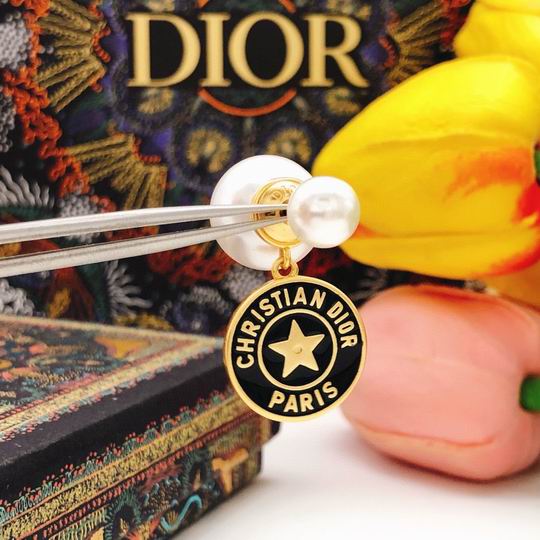 Dior Earring 12lyh183 (6)