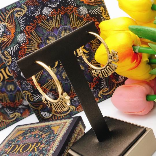 Dior Earring 12lyh186 (3)