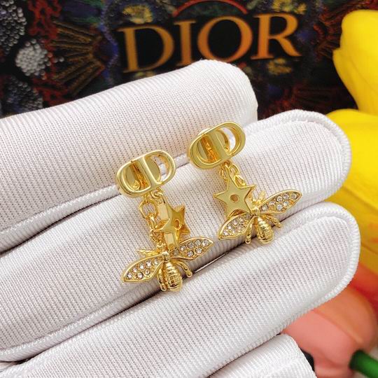 Dior Earring 12lyh188 (5)