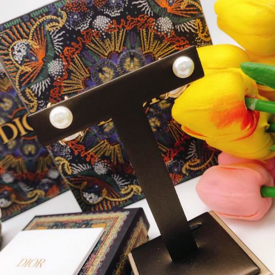 Dior Earring 12lyh196 (6)