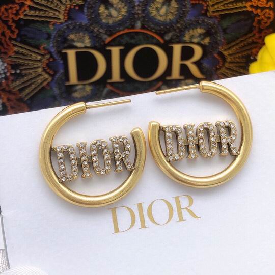 Dior Earring 12lyh199 (1)