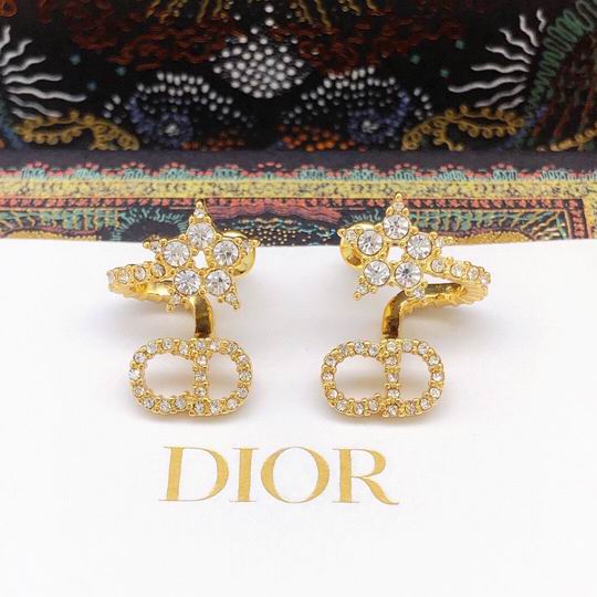 Dior Earring 12lyh202 (1)