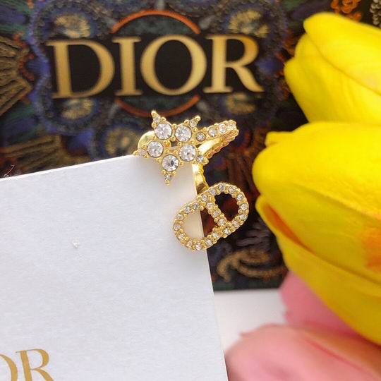 Dior Earring 12lyh202 (4)