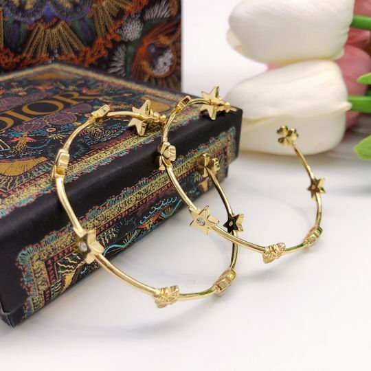 Dior Earring 12lyh205 (2)