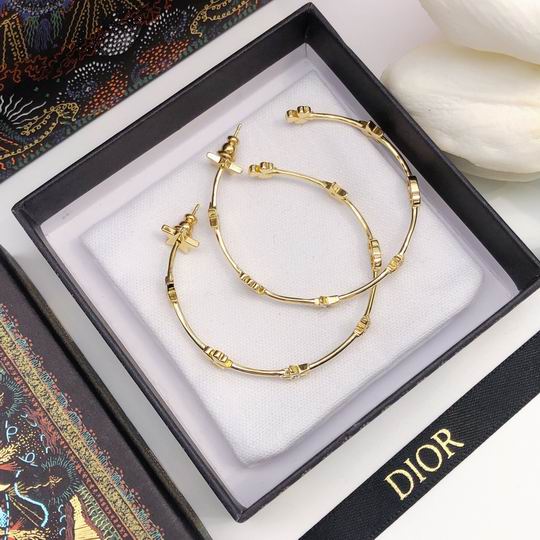 Dior Earring 12lyh205 (4)