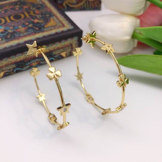 Dior Earring 12lyh205 (5)