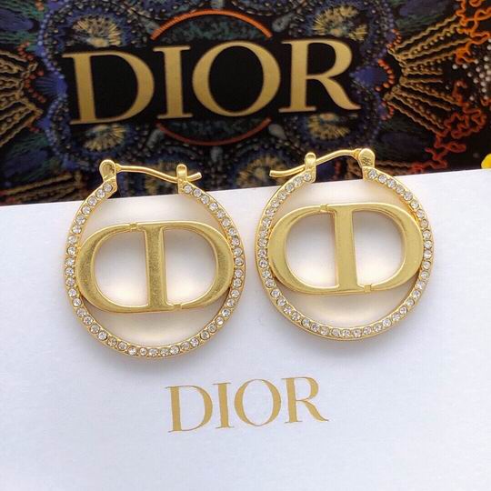 Dior Earring 12lyh207 (1)