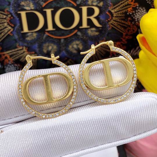 Dior Earring 12lyh207 (2)