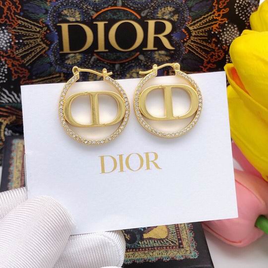 Dior Earring 12lyh207 (4)