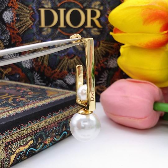 Dior Earring 12lyh208 (4)