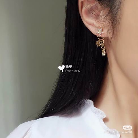 Dior Earring 12lyh212 (6)