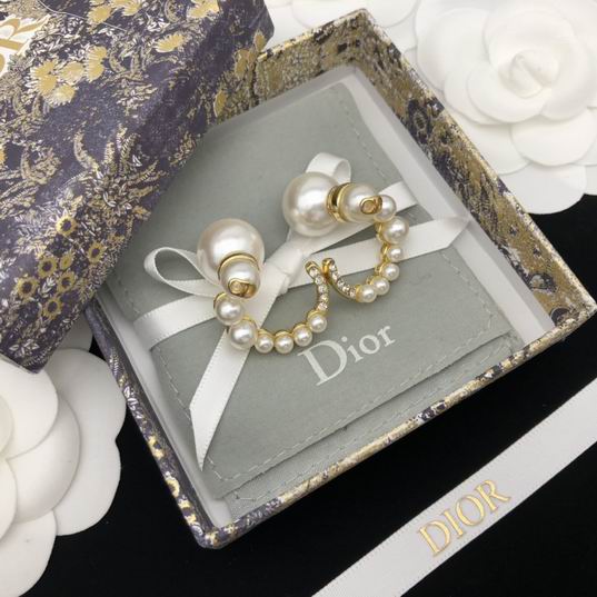 Dior Earring 12lyh214 (1)
