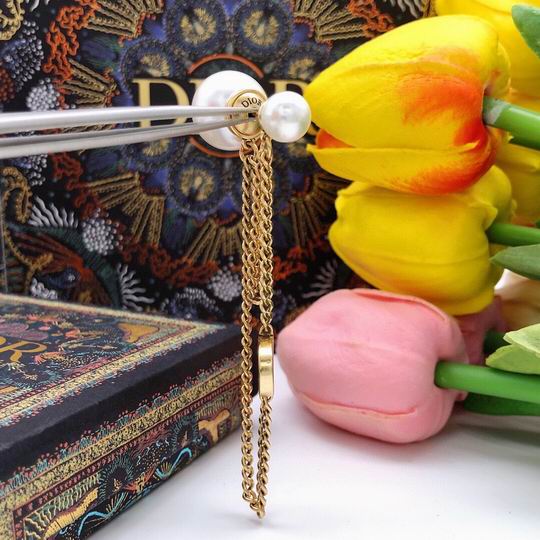 Dior Earring 12lyh222 (4)
