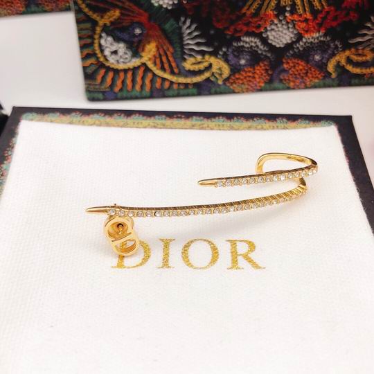 Dior Earring 12lyh245 (1)