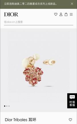 Dior Earring 12lyh42 (7)