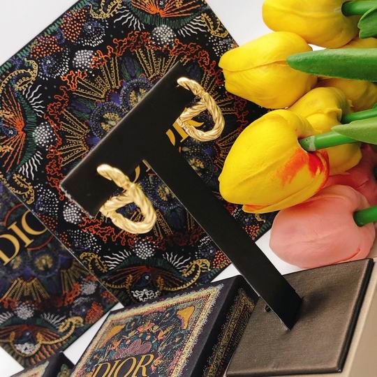 Dior Earring 12lyh49 (4)