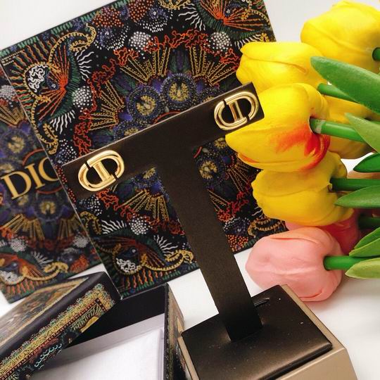 Dior Earring 12lyh57 (8)