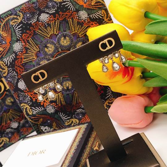 Dior Earring 12lyh63 (6)