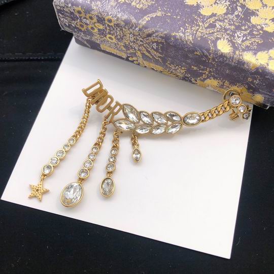 Dior Earring 12lyh68 (1)