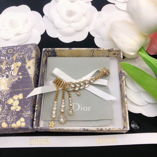 Dior Earring 12lyh68 (4)