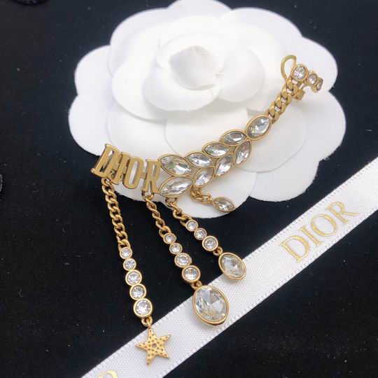 Dior Earring 12lyh68 (9)