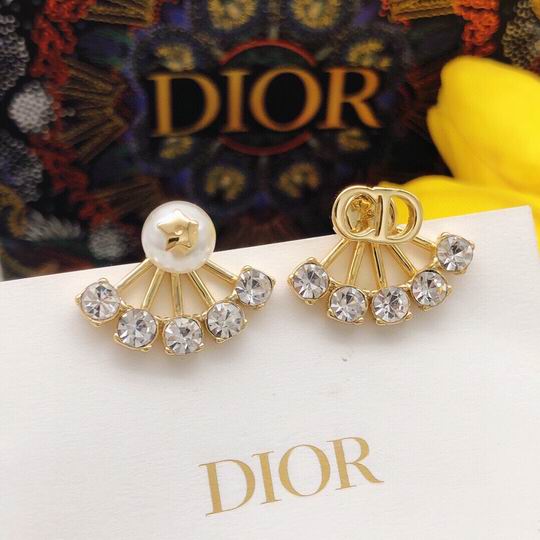 Dior Earring 12lyh77 (1)