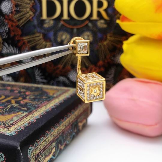 Dior Earring 12lyh81 (5)