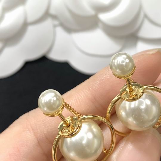 Dior Earring 12lyh83 (4)