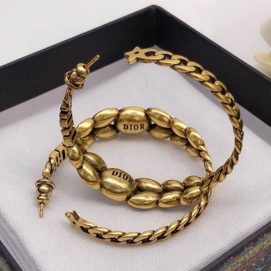 Dior Earring 12lyh85 (6)